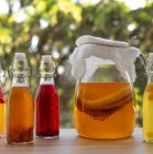 AtelierKefirEtKombucha_imagebf_image_1000065401_vignette_800_800_20250107211827_20250107211827.jpg