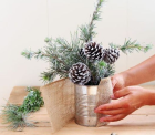 deco_noel.png