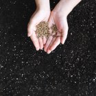 crophandsholdingseeds.jpg