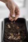 highanglewomanspreadingseedssoilpot.jpg