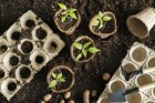 topviewgardeningtoolsflowerpot.jpg