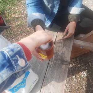 03c6d7460ecf4a048e787c5bbe477d89.jpeg