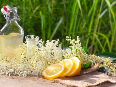 800pxBoissons_ferment_es__Sodas_base_de_fleurs_49502_w1024h768c1cx2472cy1728.jpg